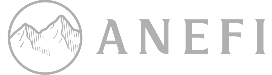 Logo Anefi
